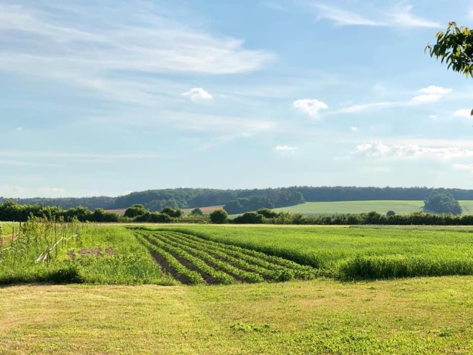 Agroturystyka „Nadbuzanski Swit” Wola Uhruska Bagian luar foto