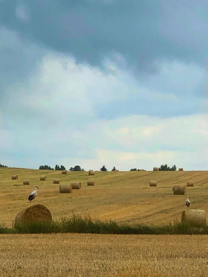 Agroturystyka „Nadbuzanski Swit” Wola Uhruska Bagian luar foto