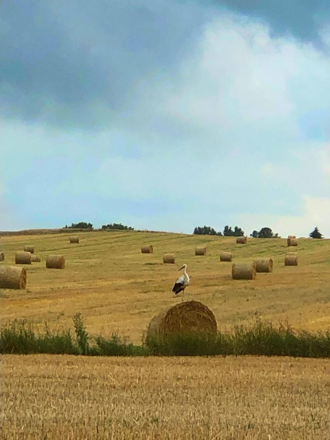 Agroturystyka „Nadbuzanski Swit” Wola Uhruska Bagian luar foto